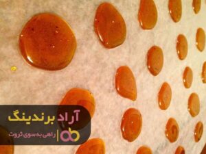 با اقدامی بی ‌نظیر ثروت را در آغوش گرفتم
