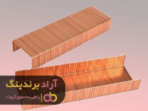 با سوزن منگنه شادی را به زندگی ‌ام بخشیدم