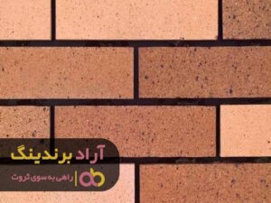 به دنبال آموزش رفته و ثروتمند شدم