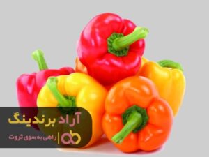 نگرانی را از خودم دور کردم و ثروتمند شدم