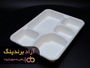 مسئولیت زندگیم را به عهده گرفتم و ثروتمند شدم