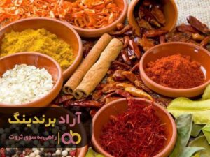 با اقدامی مؤثر در راه ثروت آفرینی پیروز شدم