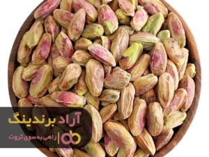 اهدافم را نوشتم و ثروتساز شدم