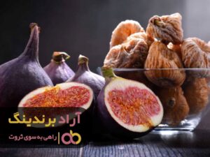 با قدرت خارق‌ العاده از موانع جاده ثروت بپرید
