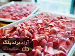 به صدای درونت گوش فرا بده تا موفق شوی