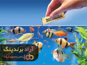 خودت را دوست داشته باش تا موفق شوی