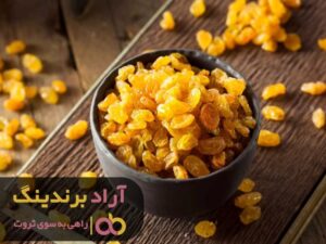 کشمش های مادرم مرا به کسب درآمد کشاند