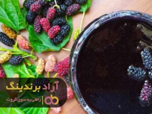 ایستادگی در برابر سختی ها ثروت بی اندازه ای را نصیبم کرد