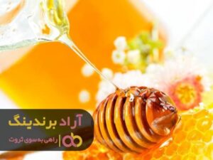 راز جادویی ثروت کشف شد