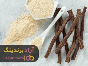 از مهم ترین اصل ثروتمند شدن رونمایی شد