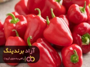 این سوال جالب زندگیم را زیرورو کرد