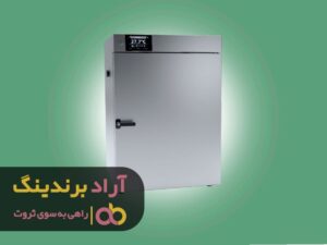 با تحلیلی درست کسب ‌و کاری پول ‌ساز را انتخاب کردم