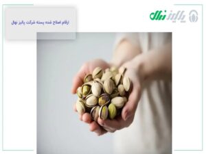 چرا نهال پسته در میاندوآب بهتر است کاشته شود؟
